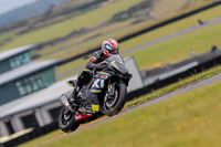 PJ-Motorsport-2019;anglesey-no-limits-trackday;anglesey-photographs;anglesey-trackday-photographs;enduro-digital-images;event-digital-images;eventdigitalimages;no-limits-trackdays;peter-wileman-photography;racing-digital-images;trac-mon;trackday-digital-images;trackday-photos;ty-croes